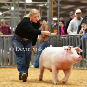 Meet your Posher, Allison